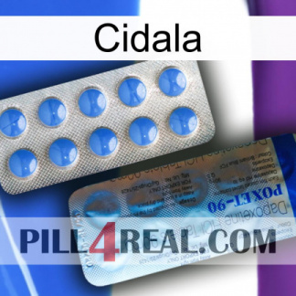 Cidala 40